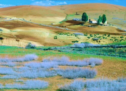 Middle Atlas Mountains Day Trip from Fez