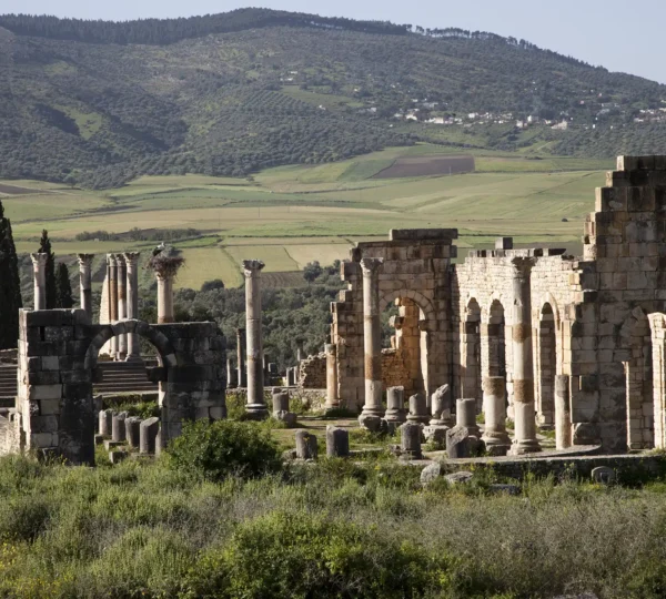 Volubilis, Moulay Idriss & Meknes Day Trip